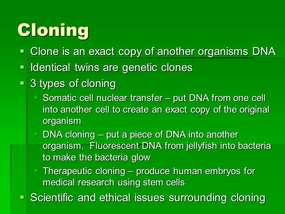 The Ethical, Social & Legal Issues of Cloning Animals & Humans